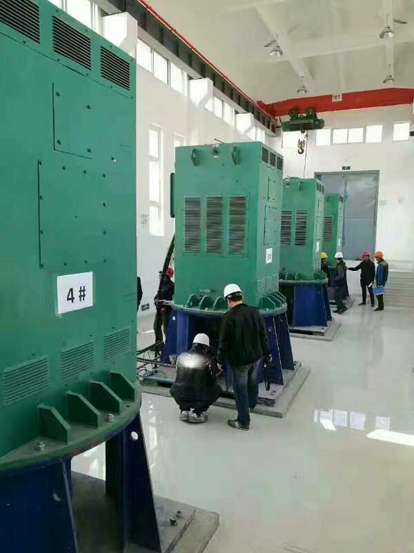 YKK4504-10/250KW某污水处理厂使用我厂的立式高压电机安装现场
